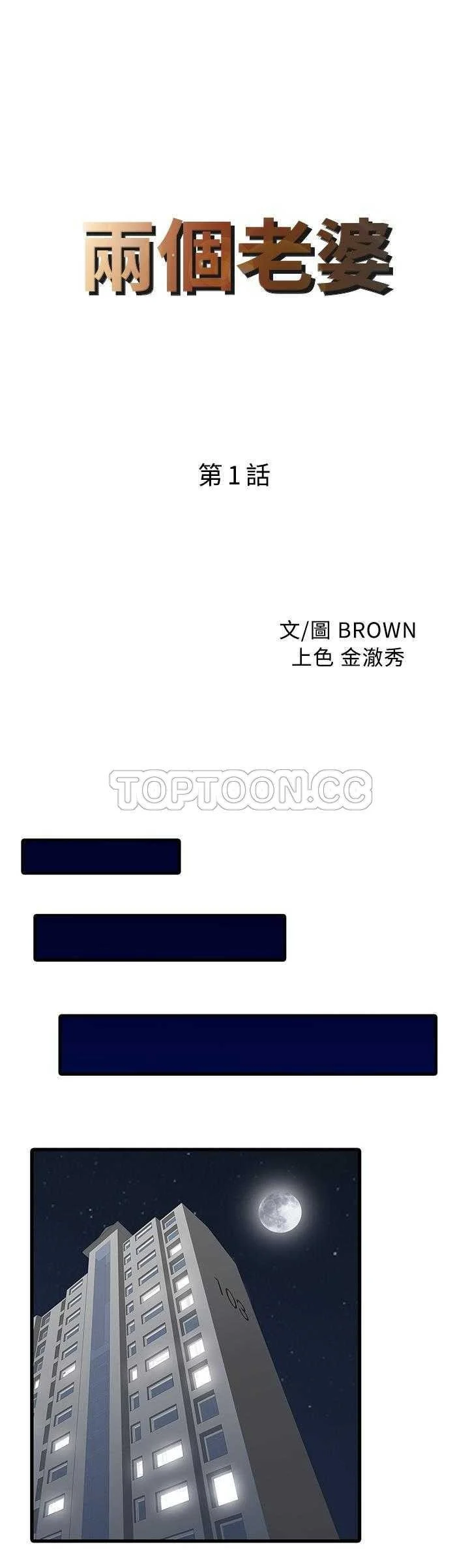 两个老婆封面