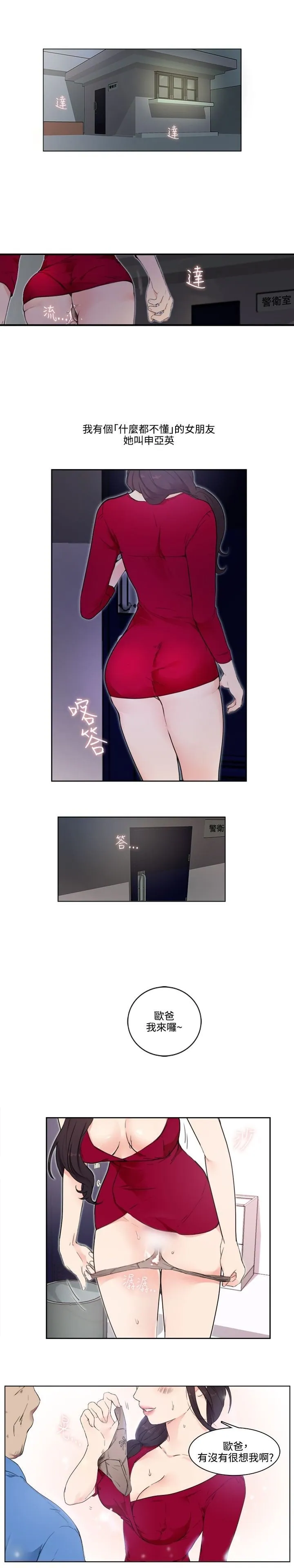 双面圣女封面